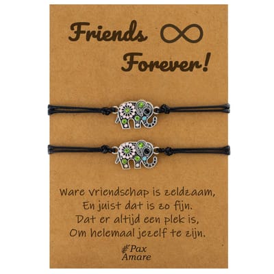 Vriendschapsarmbandjes voor 2 "Friends Forever" - Olifant - BFF Armbandjes met Cadeau Kaartje - Zwart & Zilverkleurig - Elastisch Verstelbaar - Pax Amare