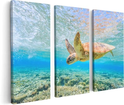 Artaza Canvas Schilderij Drieluik Schildpad Zwemt in de Zee bij het Rif - 120x80 - Foto Op Canvas - Canvas Print
