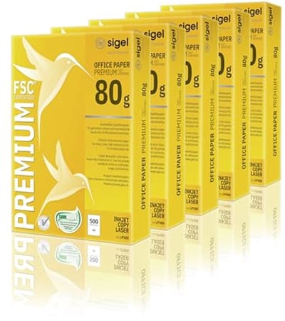 Premium A4 kopieerpapier - 80 g - 2500 vellen - Duurzaam wit printerpapier