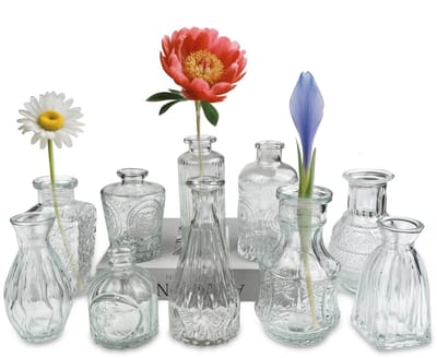 10 stuks glazen vazen, kleine mini-transparante vaas, set verschillende maten, bloemenvaas, mooie vorm, voor tafeldecoratie thuis, bruiloft, moderne tafeldecoratie