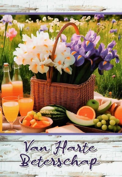 Van harte beterschap. Een kleurrijke kaart met een afbeelding van mooie bloemen in de mand en in het gras. De tafel is gedekt met fruit en gezonde sapjes om snel beter van te worden. Een dubbele wenskaart inclusief envelop en in folie verpakt.