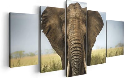 Artaza Canvas Schilderij Vijfluik Olifant In Het Wild - Kleur - 100x50 - Foto Op Canvas - Canvas Print