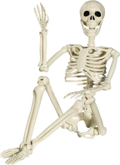 Beweegbaar Halloween Skelet 90 cm voor Gruwelijke Decoraties