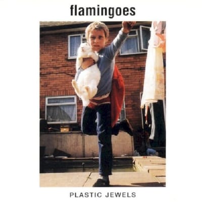 Plastic Jewels - Flamingoes