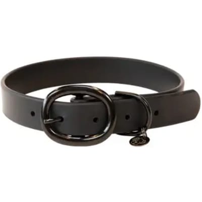 Hondenhalsband van rubber Kentucky