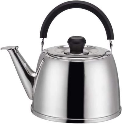 Waterkoker Roestvrij Staal - Theeketel Fluitketel - Water Koken - Universeel Fornuis Geschikt - 6 Liter - Zilver