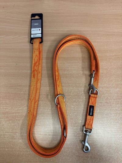 WOLTERS Cat & Dog verstelbare hondenriem Sunset Classic Maat L 200cm x 20mm Oranje