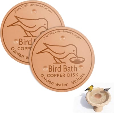 Koperen Schijf voor Vogelbaden - 2 Stuks - 10cm - Vogelbad Reiniger - Koperen Decoratie - Natuurlijke Waterzuivering - Vogels Aantrekken - Voorkomt Algen - voor Tuin Vogelbaden - Veilig voor Vogels
