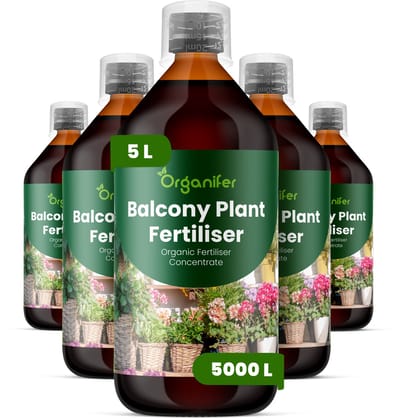 Vloeibare Meststof Voor Balkonplanten 5X1 L Voor 5000 L - Npk 2-1-8 - Balkonplanten - Bloemproductie - Lange Bloeiperiode - Volle Plantstructuur - Windbestendig - Hittebestendig - Droogtetolerantie - Sterke Wortels - Balkonbakken - Organifer