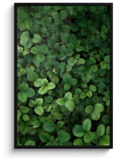 Poster in lijst - Fotolijst 80x120 cm - Posters - Groen - Bladeren - Kartel - Zonlicht - Posterlijst zwart - Decoratie - Wanddecoratie woonkamer - Muurdecoratie slaapkamer