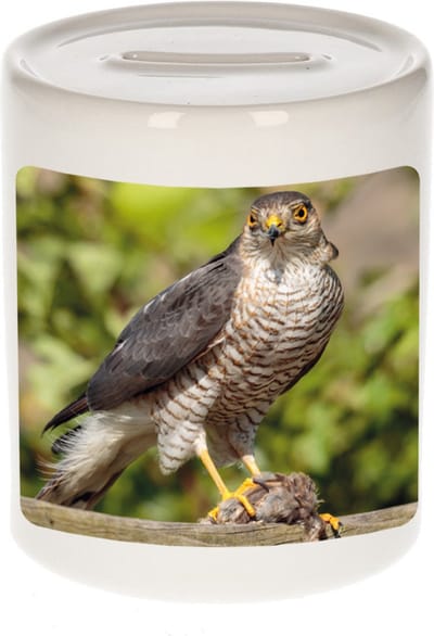 Dieren havik roofvogel foto spaarpot 9 cm jongens en meisjes - Cadeau spaarpotten havik roofvogel roofvolgel liefhebber