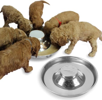 Puppy Honden Voerbakken - Voerkommen Huisdier - Puppy Spenen - Roestvrij Staal - 8 Ounces - Zilver