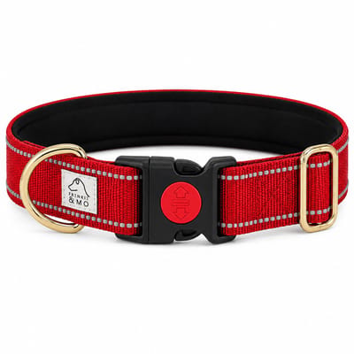 Honden Halsband - Reflecterende Stiksels - Nylon Halsband Hond - Hondenhalsband - Maat S - Rood