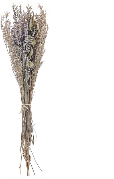 NAWARRA - Droogbloemen boeket - Natuurlijk - Droogbloemen