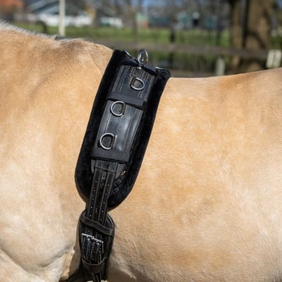 Horsegear Longeerpad Horsegear Hgfur Zwart-zwart