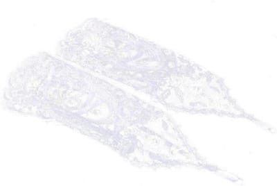 Kanten bruidshandschoenen - Vingerloos - Hand Ornamenten - Wit - Bruiloftaccessoires
