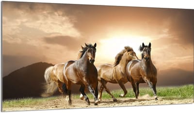 TMK ArtDeko - Beschermplaat van Glas - Paarden - 90x52 cm
