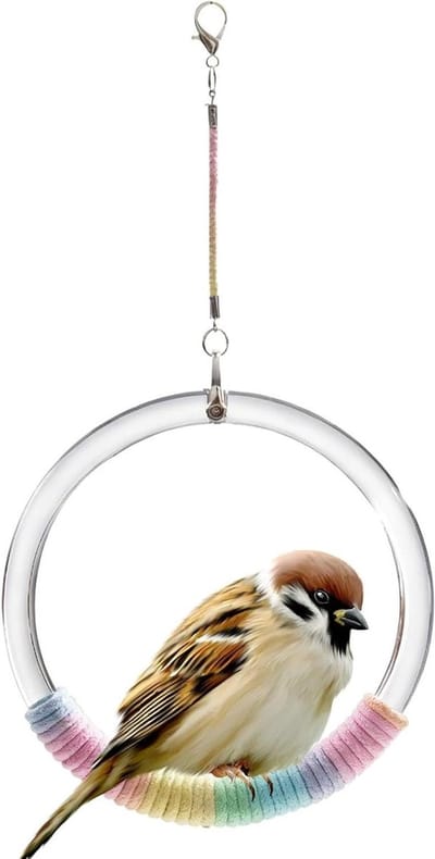 Vogel Schommel - Vogel Speelgoed - Volière Verrijking - Natuurlijke Tak Nabootsing - 13x13x3 cm - Natuurlijk