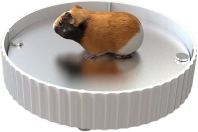 Verkoelend Hamster Bed - Hitteafvoerplaat - Zomerse Koelte - Geen Elektriciteit Nodig - 15x15 cm - Zilverkleurig