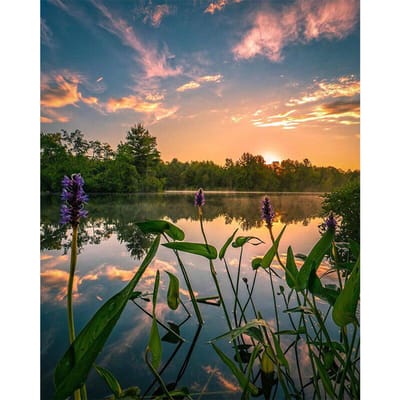 DIY 5D diamant schilderij zonsondergang landschap diamant borduurwerk 20X30CM beige