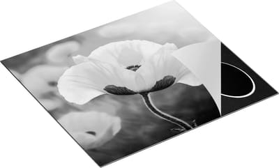 Chefcare Inductie Beschermer Oranje Klaproos Bloemen - Zwart Wit - 60x50 cm - Afdekplaat Inductie - Kookplaat Beschermer - Inductie Mat