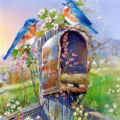Peinture au diamant Oiseau Animal Ferme Plein Rond Mosaïque Diamant Broderie Fleurs Point De Croix 30x30CM blue