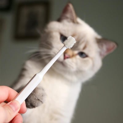 Kattentandenborstel Zachte haarborstel voor katten Mondreiniging Kattenborstel voor het reinigen van tanden Huisdierverzorging Kattentandenborstel Huisdierproducten wit
