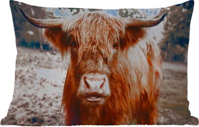 Buitenkussens - Tuin - Koe- Schotse hooglander - Hoorns - Bruin - Landschap - 50x30 cm
