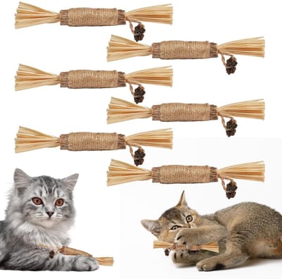 Allecto - 15cm raffiagras - Natuurlijke stengel - 6 stuks - Tandgezondheid - Geschikt voor katten - Binnen gebruik