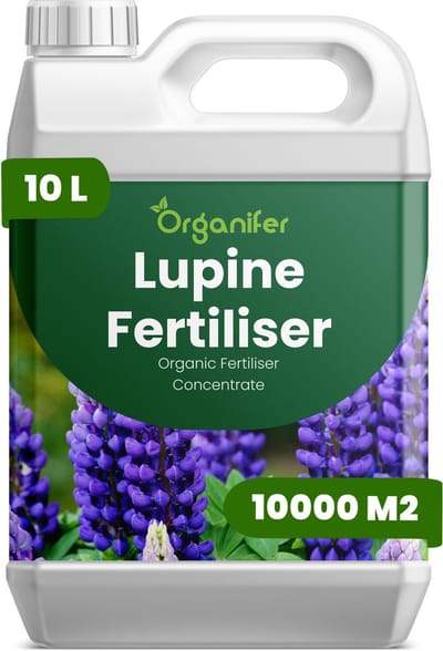 Vloeibare Meststof Voor Lupinus 10 L Voor 10000 M2 - Npk 2-1-8 - Geschikt Voor Alle Lupinus - Bevordert De Ontwikkeling Van Hoge - Rechtopstaande Bloemaren - Verhoogt De Intensiteit Van Levendige Kleuren En Verlengt De Bloeiduur - Organifer