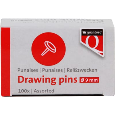 Punaises Quantore 100 stuks assorti