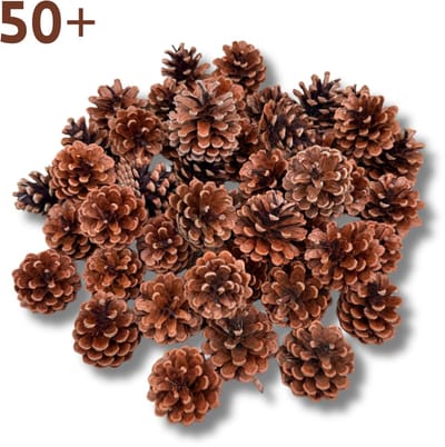 Dennenappels 50+ stuks - Natuurlijk - Perfect voor Herfst stukjes en Kerst decoratie 4 tot 7 cm hoog - Echte Denneappels DIY