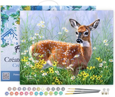 Figured'Art Schilderen op Nummer Volwassenen met lijst - Hert in de weide - Handwerk acrylverf Kit DIY Compleet - 40x50cm Canvas al ingelijst
