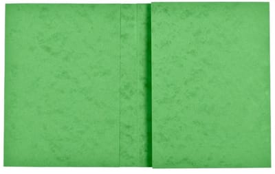 Exacompta 80x Schriftomslag in glanskarton 265g - 24x32 cm - Lindengroen - 35123E