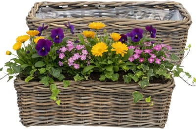 VD Leeden Plantenmand Klassiek - 2x - bruin - rechthoek - 60 x 23 x 20 cm - rotan - gevlochten riet