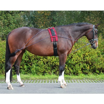 Qhp Pessoa Longeerteugel | Zwart | Longeerlijn paard