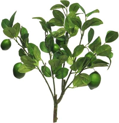 Bellatio Design Kunstbloem citrusfruit tak - limoen - 60 cm - groen - kunst zijdebloemen - limoentak