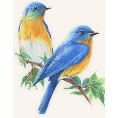 5D Diy Diamant Vogel Cartoon Mozaïek Cadeau Diamant Borduren Broderies Diamant Schilderij 20X30