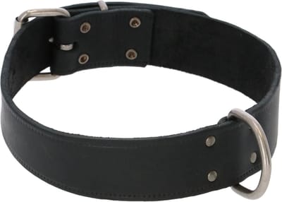 Adori Halsband Vetleder Met Print Zwart - Hondenhalsband - 70x4.0 cm