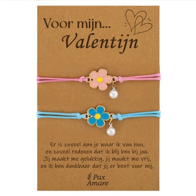Koppel Armbandjes voor 2 "Voor Mijn Valentijn" - Bloemetjes - Vriendschapsarmbandjes met Persoonlijk Cadeau Kaartje - Blauw & Roze - Elastisch Verstelbaar - Pax Amare