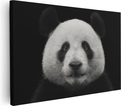 Artaza Canvas Schilderij Dierenkop Panda - 30x20 cm - Klein - Muurdecoratie Woonkamer - Wanddecoratie Dierenhoofd - Kamer Accessoires