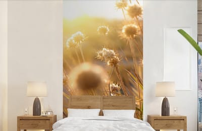 Behang - Fotobehang Planten - Natuur - Bloemen - Zon - Horizon - Breedte 120 cm x hoogte 240 cm