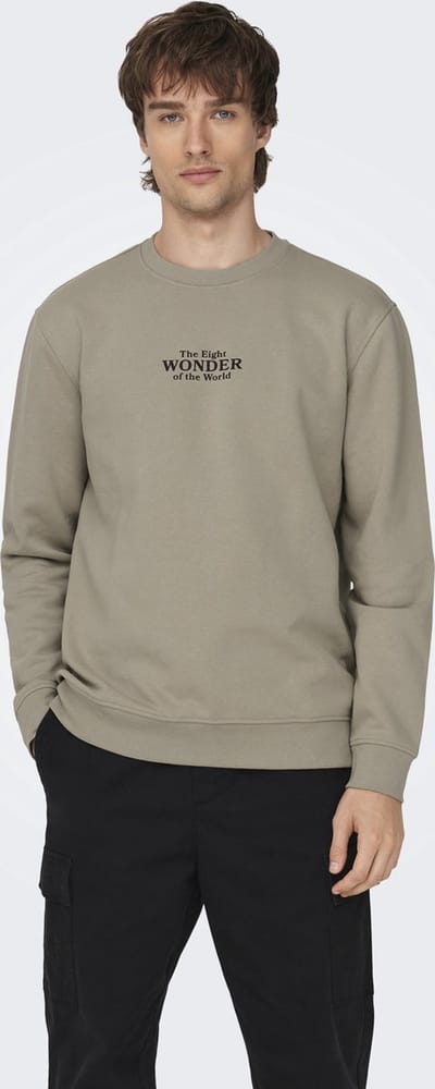 ONLY & SONS - ONSCELEBRITY REG CREW NECK SWT - Heren - Sweaters