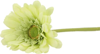 DK Design Kunstbloem Gerbera - 72cm - lichtgroen - Real Touch - kunst zijdebloemen