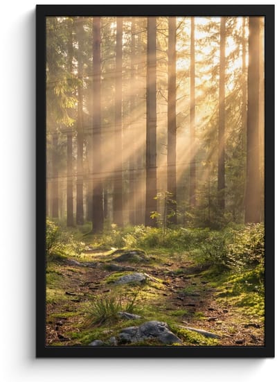 Poster in lijst - Fotolijst 40x60 cm - Posters - Bos - Zonlicht - Gras - Posterlijst zwart - Decoratie - Wanddecoratie woonkamer - Muurdecoratie slaapkamer