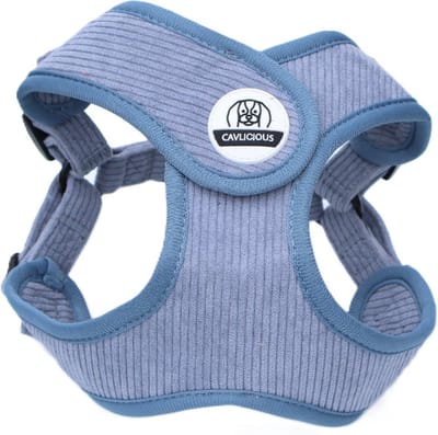 Cavlicious® hondentuigje kleine hond - ergonomisch design - ribfluweel - blauw – M