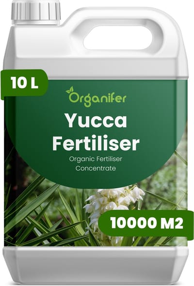Vloeibare Meststof Voor Yucca - 10 L Voor 10000 M2 - Npk 3-4-3 - Versterkt De Natuurlijke Weerbaarheid Van Planten Tegen Droogte En Hitte - Geeft Een Prachtige Bladglans Voor Een Esthetisch Aantrekkelijk Resultaat - Jaarrond Toepasbaar - Organifer