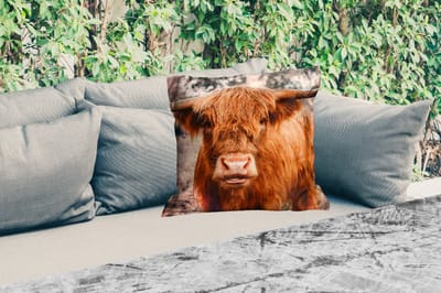 Buitenkussen Weerbestendig - Koe- Schotse hooglander - Hoorns - Bruin - Landschap - 50x50 cm