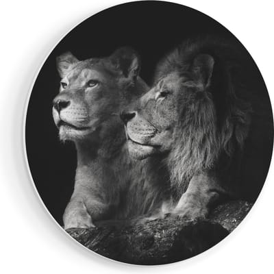 Artaza Forex Muurcirkel Leeuw En Leeuwin - Zwart Wit - 90x90 cm - Groot - Wandcirkel - Rond Schilderij - Muurdecoratie Cirkel