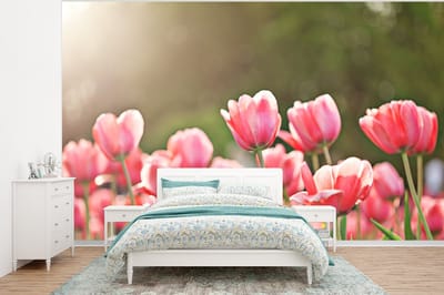 Behang - Fotobehang Tulpen - Zon - Lente - Breedte 350 cm x hoogte 260 cm